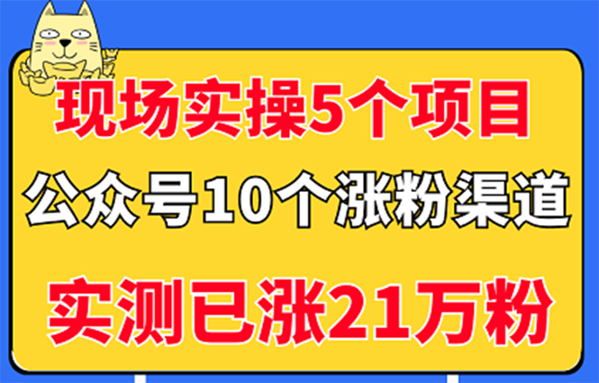 公众号怎么赚钱：实操5个公众号项目，10个微信涨粉渠道（视频教程）