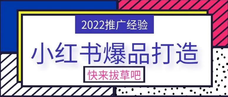 小红书怎么赚钱：零基础打造爆款小红书（定位/运营/引流/变现）