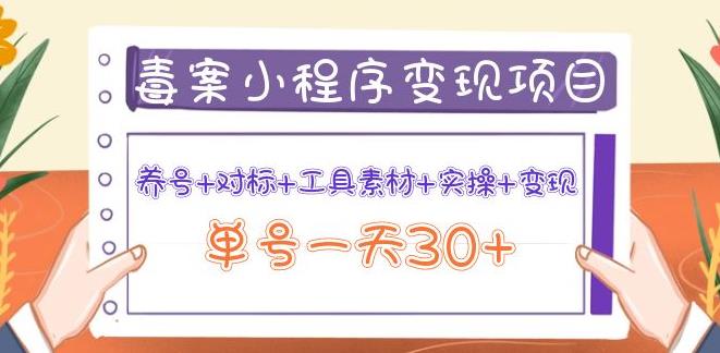 抖音图文案小程序变现项目：养号+对标+工具素材+实操，单号一天30+