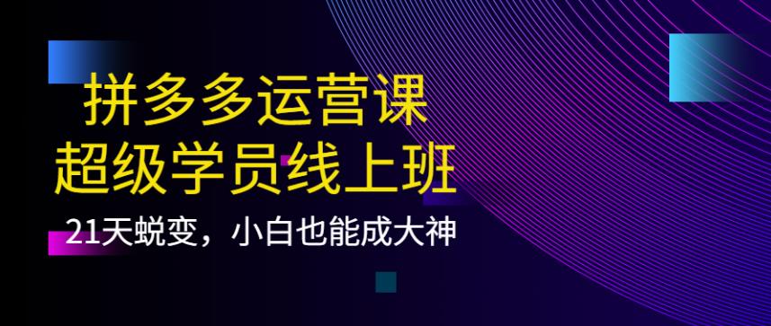 【副业3812】拼多多怎么开店：21天蜕变，小白也能成拼多多大神