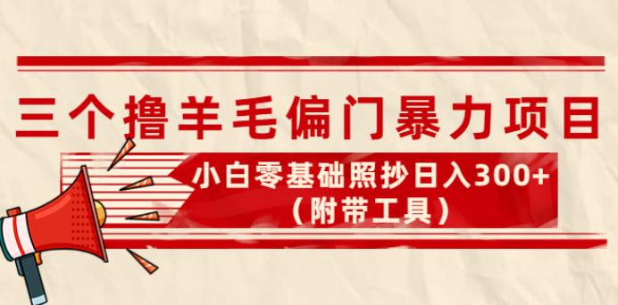 【副业3894】最新撸羊毛副业项目三个：小白零基础照抄日入300+（附带工具）