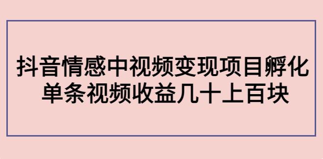 情感中视频项目怎么做：抖音情感中视频变现项目